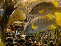 Bonaire